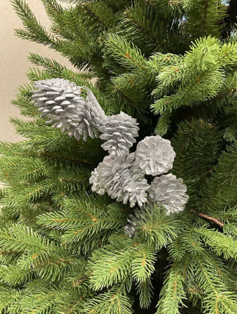 Ветка новогодняя "Ветка с шишками" [680913]