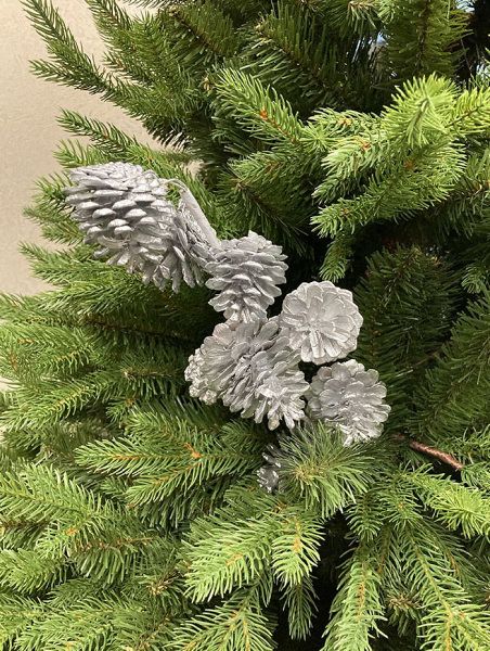 Ветка новогодняя "Ветка с шишками" [680913]