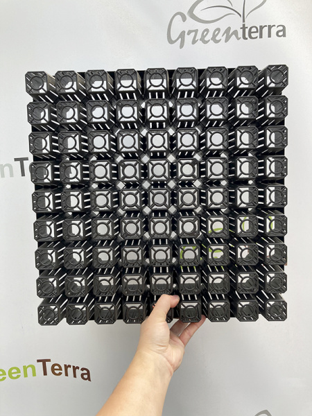 Кассета для лесовосстановления, 81 ячейка (85мл) K-81F