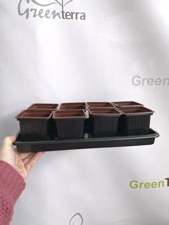 Поддон 360х185мм под кассету для рассады [00256]