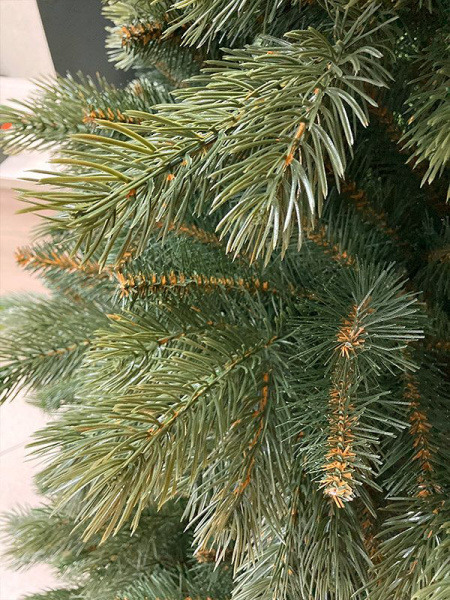 Сосна "Тундра"