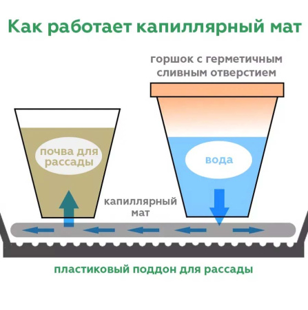Капиллярный мат; плотность 200 г/м2, ширина 2м