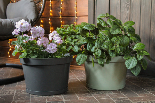 Горшок для цветов "Фикус 20" 20л, шалфей [00250]