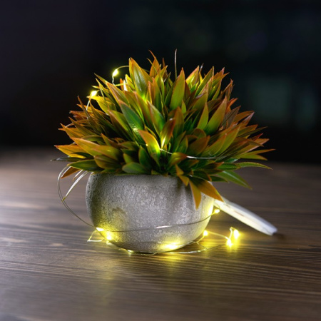 Светодиодная гирлянда Роса Feron CL588 20LED тепл. белый, 2м IP20, от батареек [51439]