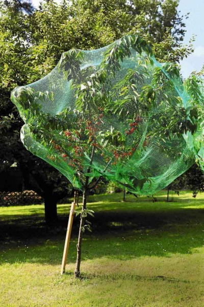 Сетка защитная от птиц 5*5 м, мелкая ячейка