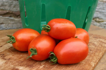 томат Мариана F1