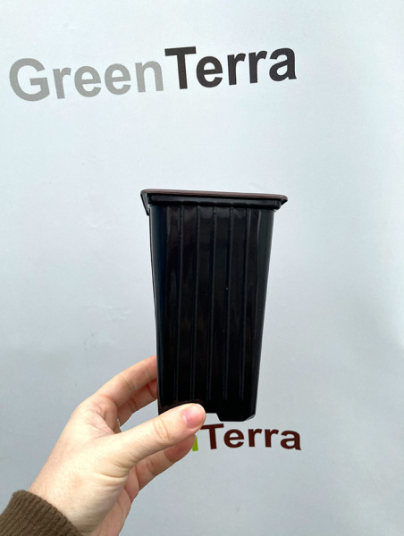 Высокий горшок для роз 0.8л, 9*9*14см. формованный