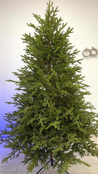 Елка "Вилтони" 100% РЕ