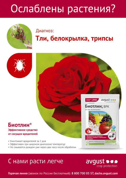 Биотлин 3 мл от тли и белокрылки