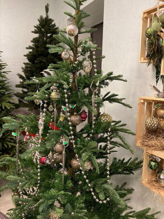 Елка "Нобилис"