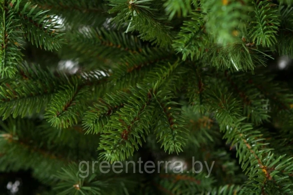 Елка "Аляска" светлая