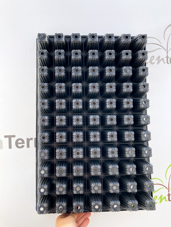 Кассета для рассады, 77 ячеек (67мл)