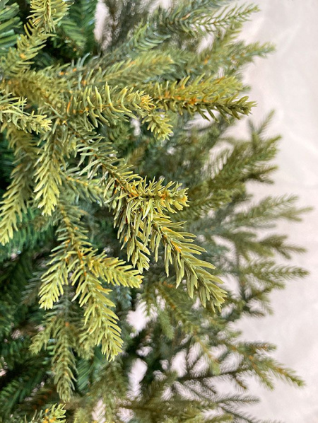 Елка "Этуаль"