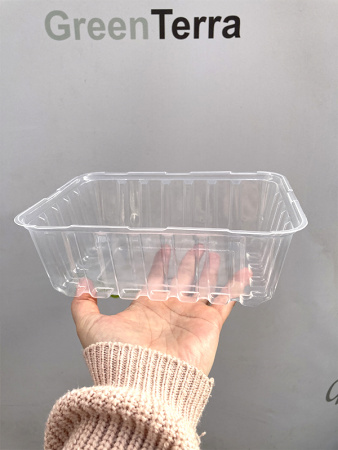 Минипарник с крышкой и кассетой на 6 ячеек