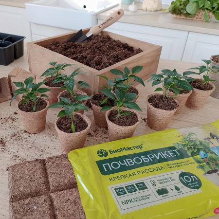 Почвобрикет "Крепкая рассада" 10 л