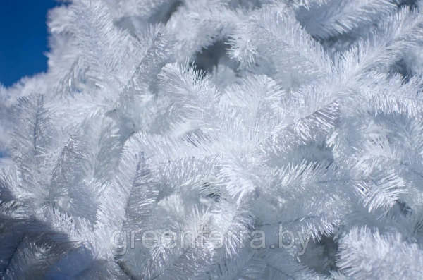 Ель интерьерная "Рублевская" белая