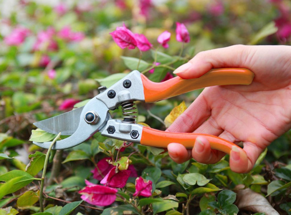 Садовый секатор для обрезки веток BRADAS KT-V1023