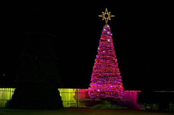 Комплект новогоднего освещения "Кристалл-2" Комплект новогоднего освещения "Кристалл-2"