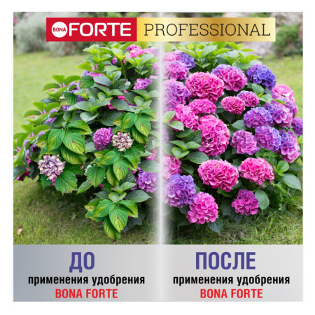 Удобрение пролонгированное Bona Forte "Для гортензий" с биодоступным кремнием, 1 л