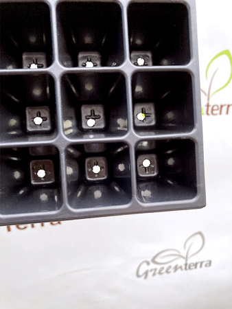 Кассета для рассады 100 ячеек (100-Ф), 40мл 