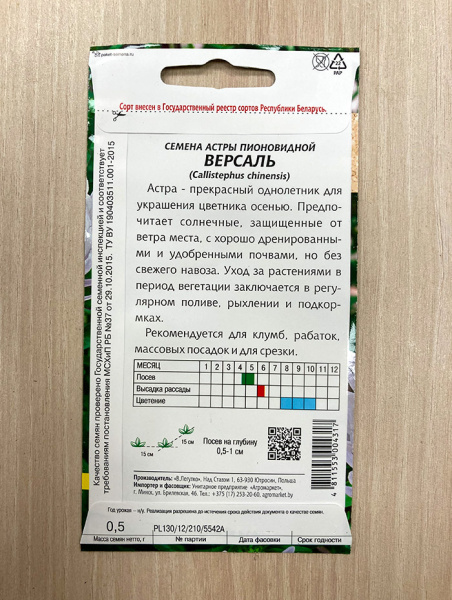 астра пионовидная Версаль