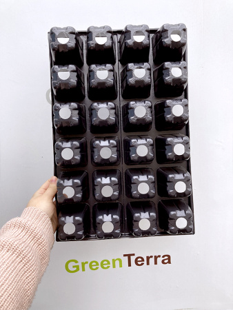 Кассета для рассады 24 ячейки (петуния), 165мл