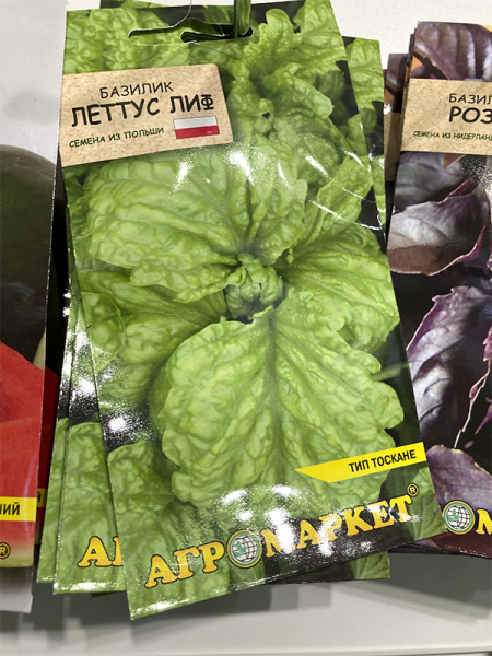 базилик Леттус лиф