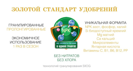 Удобрение пролонгированное Bona Forte "Для петуний и бегоний" с биодоступным кремнием, 1 л