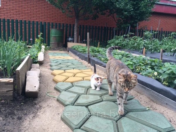 Форма "Садовая дорожка" (600х600х60мм)