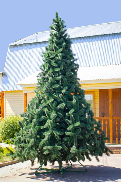 Сосна интерьерная "Рублевская"