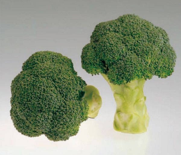 Капуста брокколи Грин Мэджик F1 (15шт.)