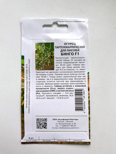 Огурец партенокарпический Бинго F1 