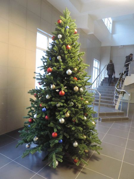 Ель интерьерная "Эксклюзив Слим"