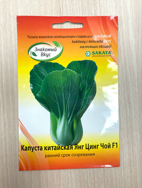 капуста китайская Пак-чой Янг Цинг Чой F1 