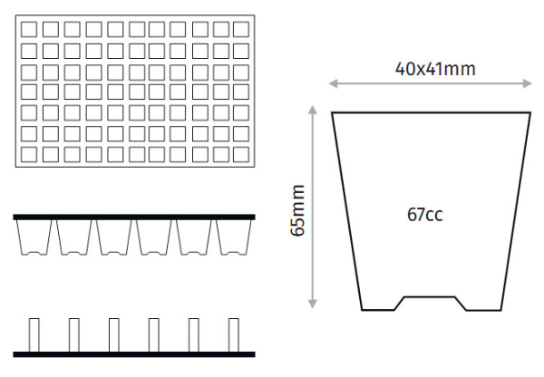 Кассета для рассады, 77 ячеек (67мл)