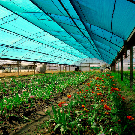 Затеняющая сетка 3х50м (затенение 35%)