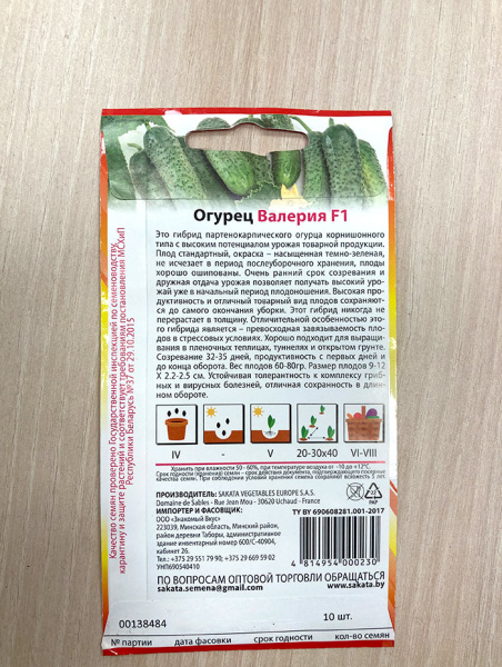 огурец партенокарпический Валерия F1
