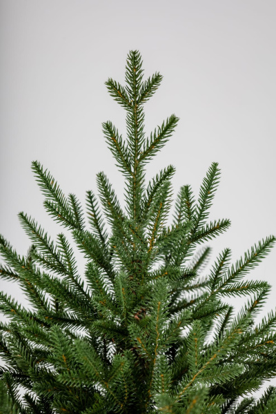 Елка "Синдерелла" 100% РЕ