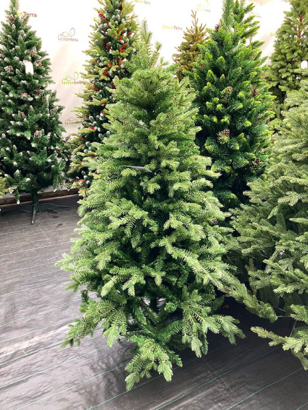 Елка "Монсанта"