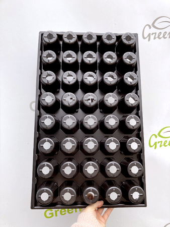 Кассета для рассады 40 ячеек, 130мл