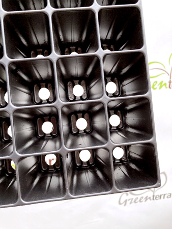 Кассета для рассады 81 ячейку (Плантек), 85мл 