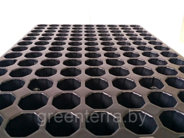 Кассета для рассады, 144 ячейки (32мл)