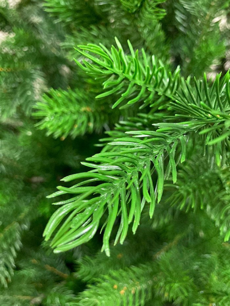 Елка "Астерия Премиум" 100% РЕ