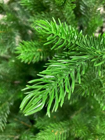 Елка "Астерия Премиум" 100% РЕ