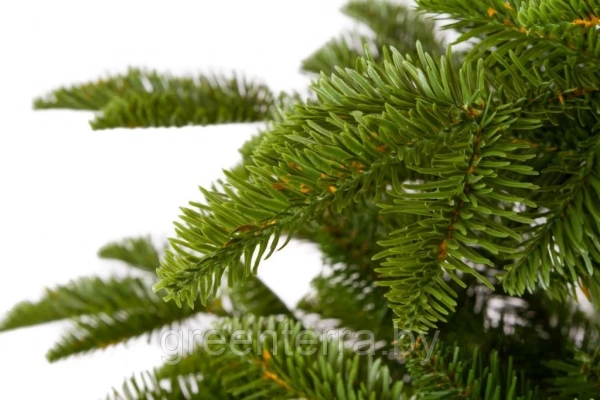 Елка "Тайга" светлая