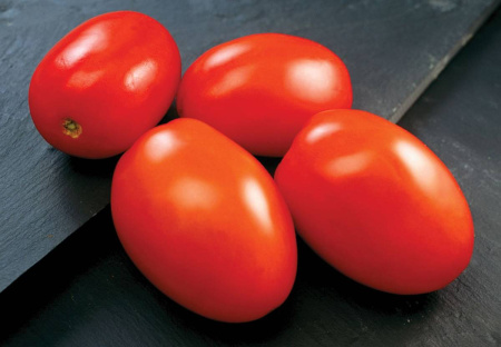 томат Индио F1