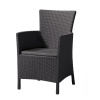Кресло из искусственного ротанга KETER Montana (IOWA), графит [215526]