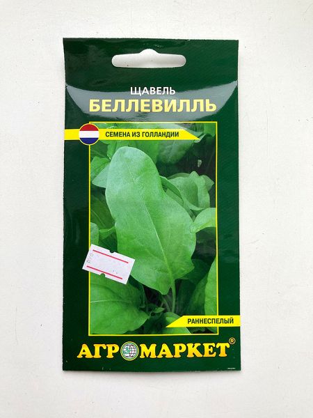 Щавель Беллевилль