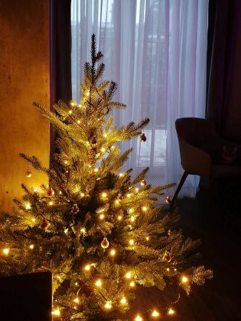 Елка "Милтон"