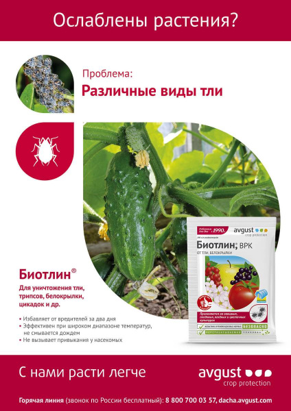 Биотлин 3 мл от тли и белокрылки
